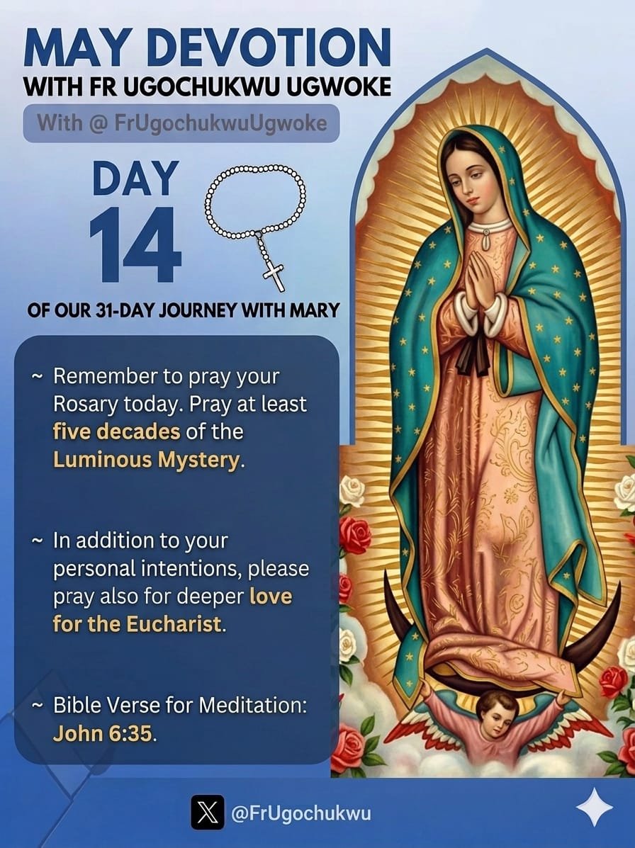 FrUgochukwu's tweet photo. 31-day Journey with Mary

Day 14: https://t.co/EhAVCgKxu6