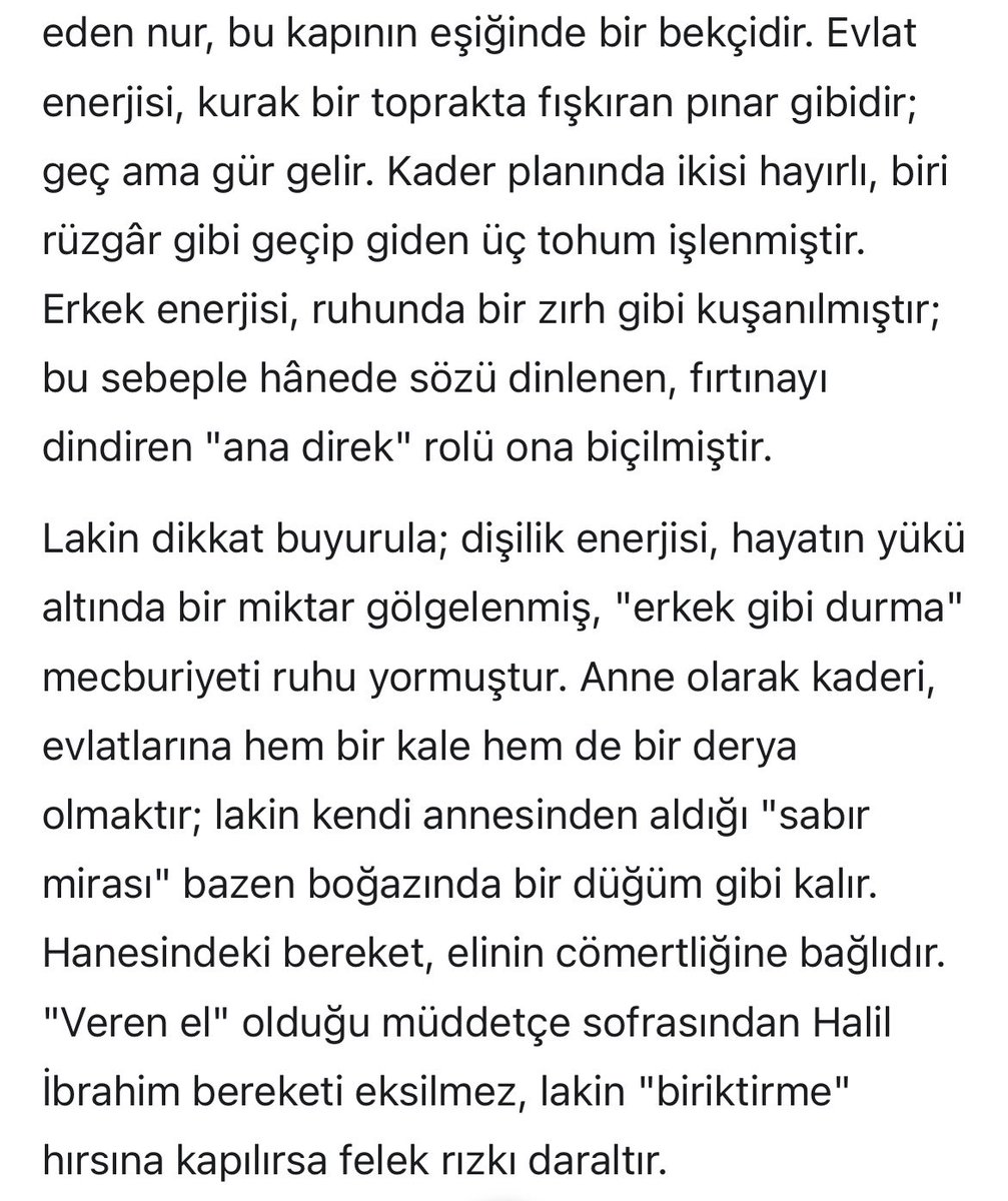 LaviedeFreya tweet media