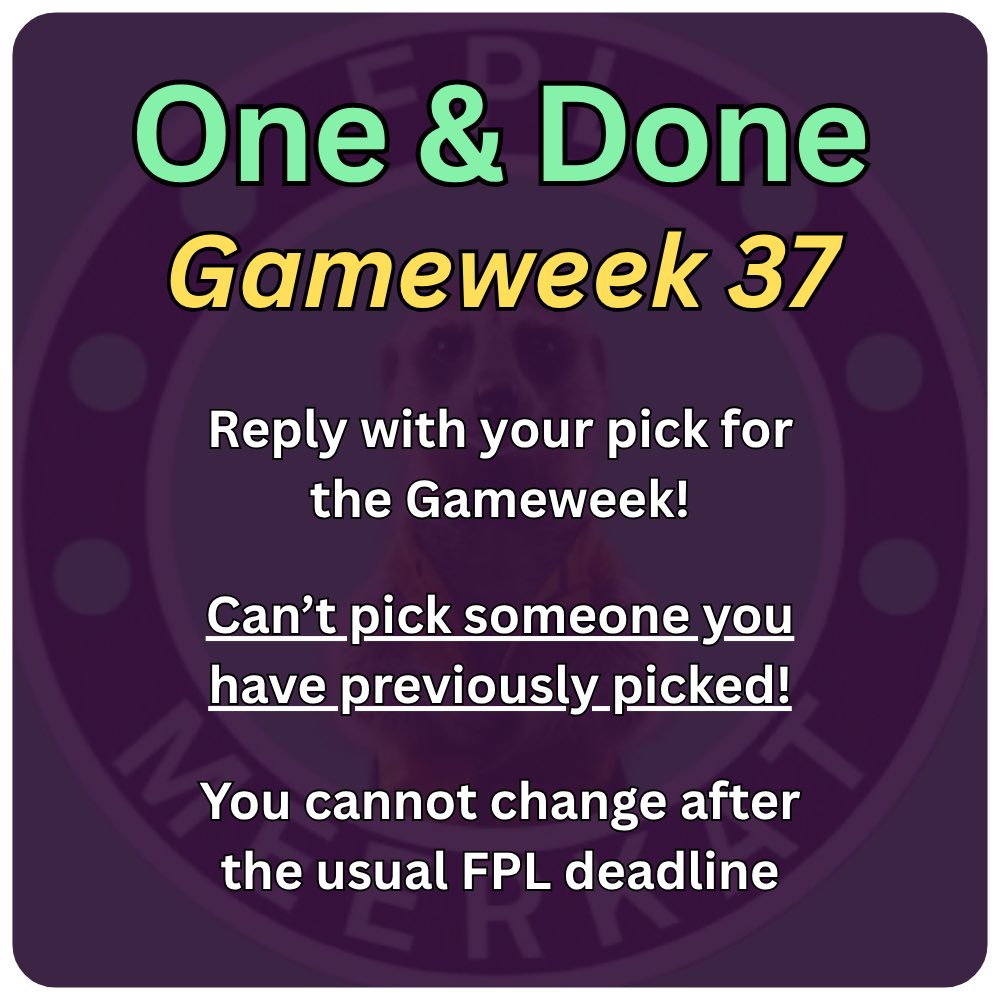 FPL Meerkat tweet media