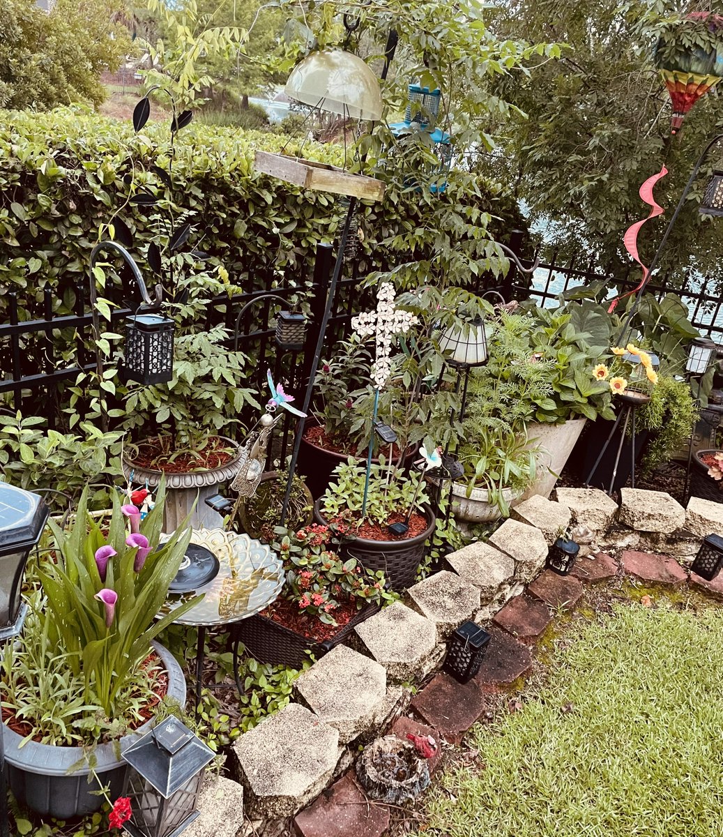 fredgretsch's tweet photo. may abundance in dinah's secret garden. https://t.co/wUhnTdkSDO