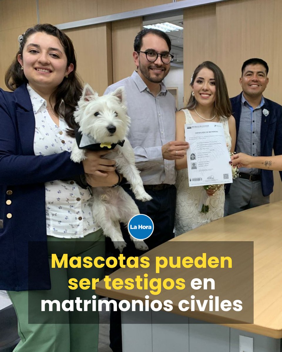 La Hora Ecuador tweet media