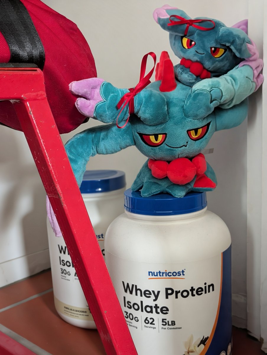 Squid_Poster's tweet photo. Sorry, no protein for special attackers.
#Misdreavus #ムウマ #FlutterMane #ハバタクカミ https://t.co/yO7NkMwhNx
