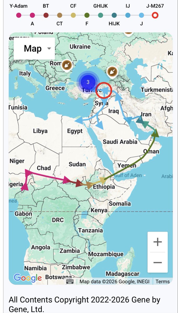akkedia_1's tweet photo. وفقًا لـ Family Tree DNA Discover  
الرسمية:#السلالة_E نشأت في السودان
والسلالة E-215 نشأت قبل 33,000 سنة في أرض الأنبياء (مصر)،ثم انتقلت إلى فلسطين وأنجبت E-M35 قبل 25,000 سنة.

#السلالة_F نشأت في إثيوبيا ثم انتقلت إلى إيران وأنجبت السلالة HIJK في إيران،ثم J والفرع J1 في إيران. https://t.co/Y7SLqqBAbJ