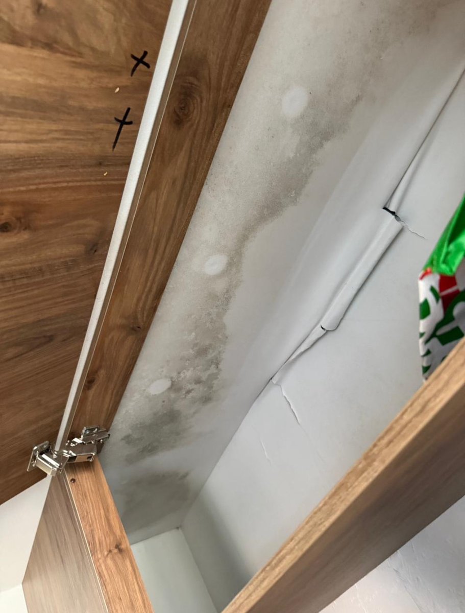 santisanchz_'s tweet photo. DENUNCIA PUBLICA 

Oigan qué tristeza que las inmobiliarias cada vez hacen lo que quieran con los arrendatarios, alquile una casa con la inmobiliaria CAMPO URBANO que acá dejo sus redes y cuando la mostraron todo estaba bien pero fue cuestión de que empezáramos a vivir ahí para+ https://t.co/QlXpZ6arEM
