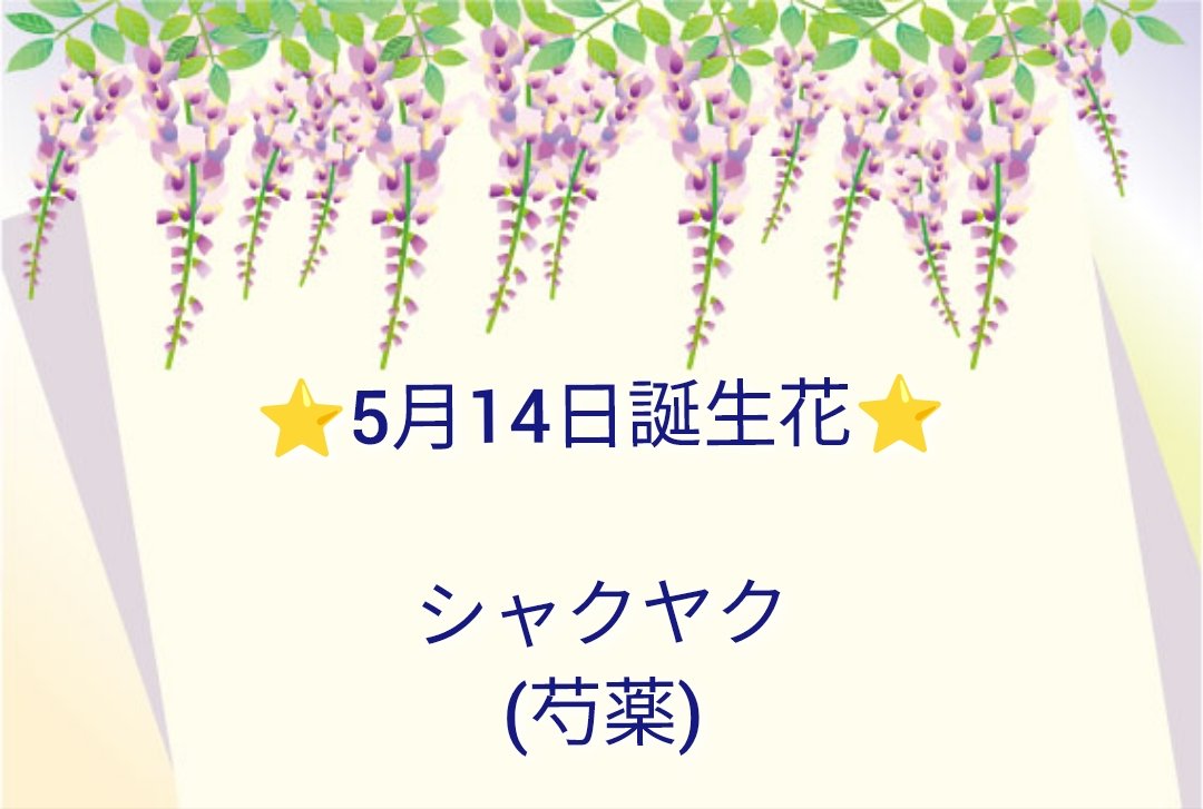 エガリテ🍀Égalité tweet media