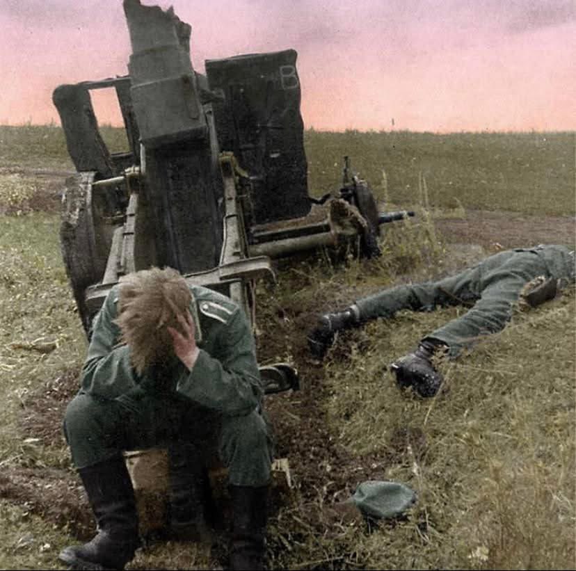 Voices of WW2 tweet media