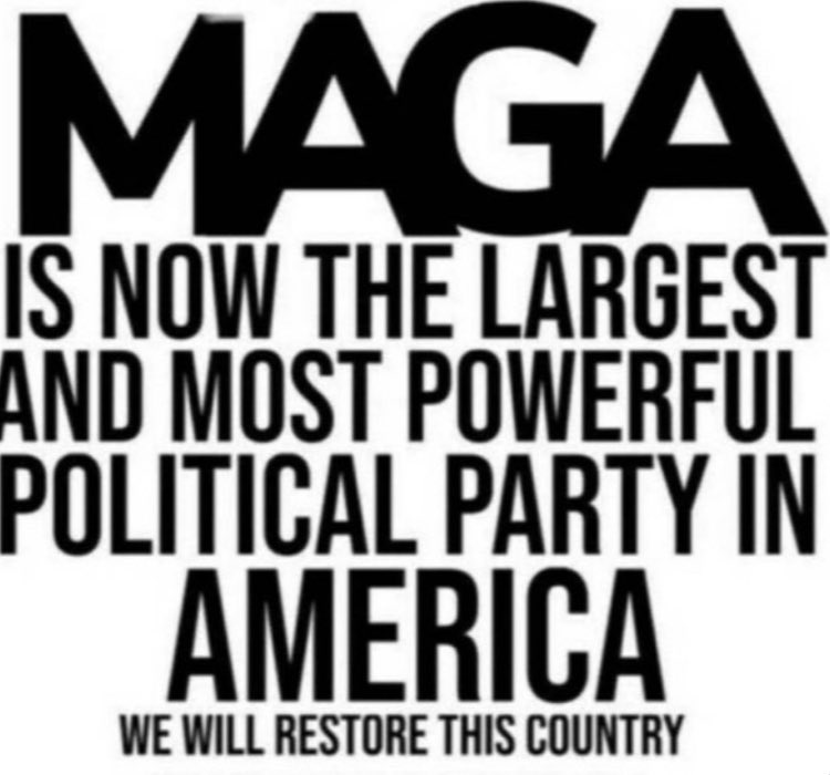 ⚜ Angie ⚜ tweet media