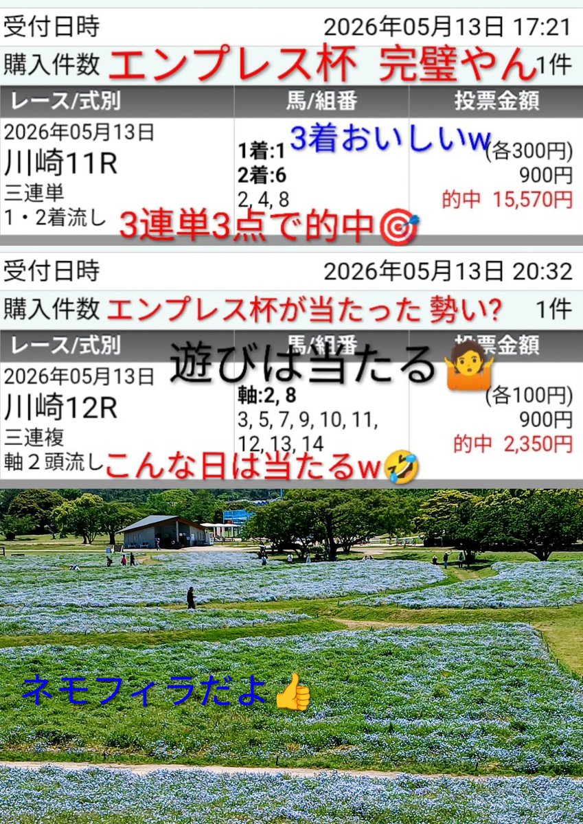 桃ゼブラ🍑🦓 tweet media