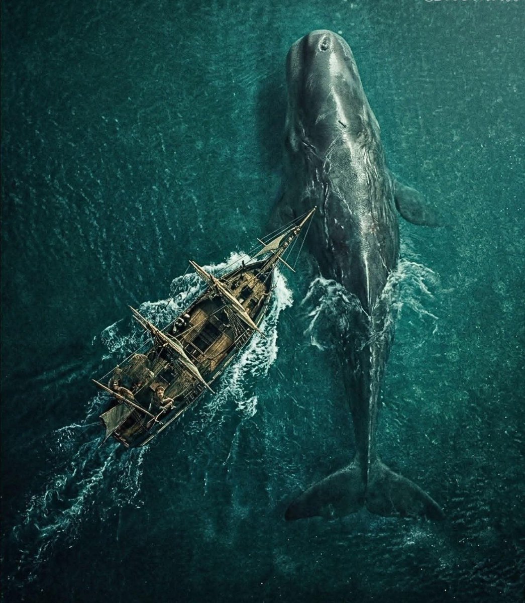 MOVIES tweet media