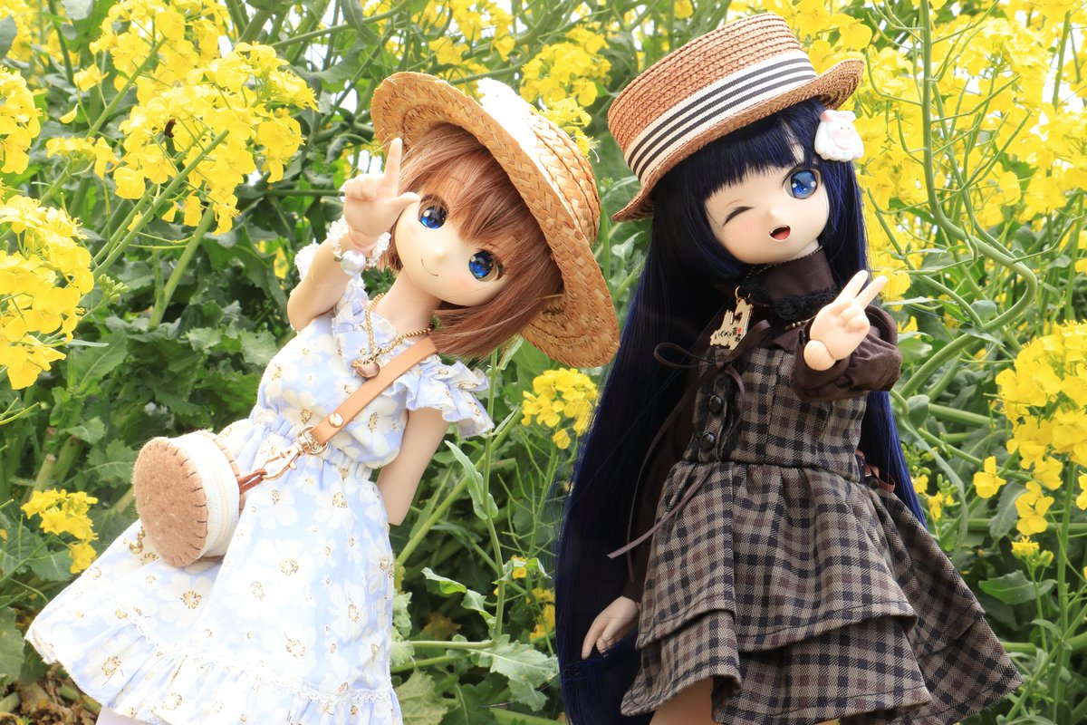 りんごちゃん🍎 (@DollAppleChan) / Posts / X