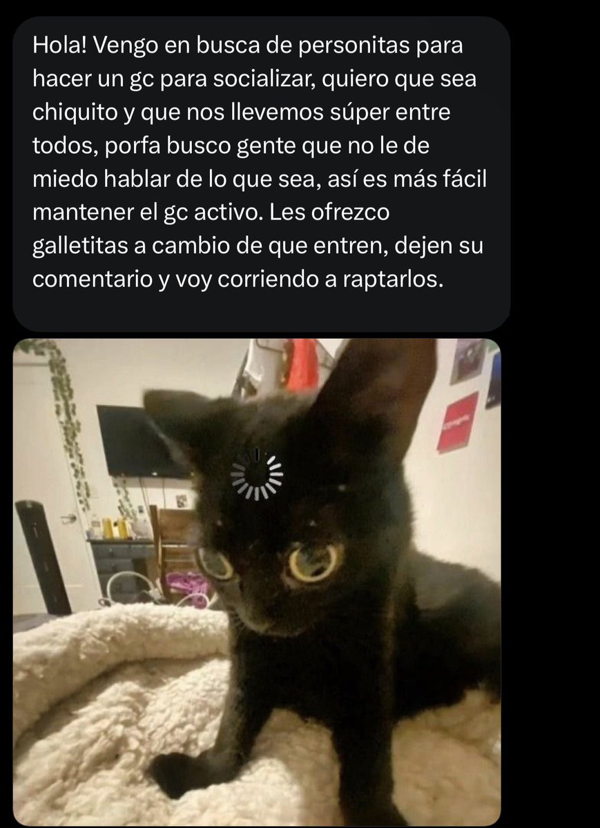 ▸ 𝙋𝙡𝙖𝙮 .ᐟ 𝘮𝘪𝘤𝘩𝘪。🐈 tweet media