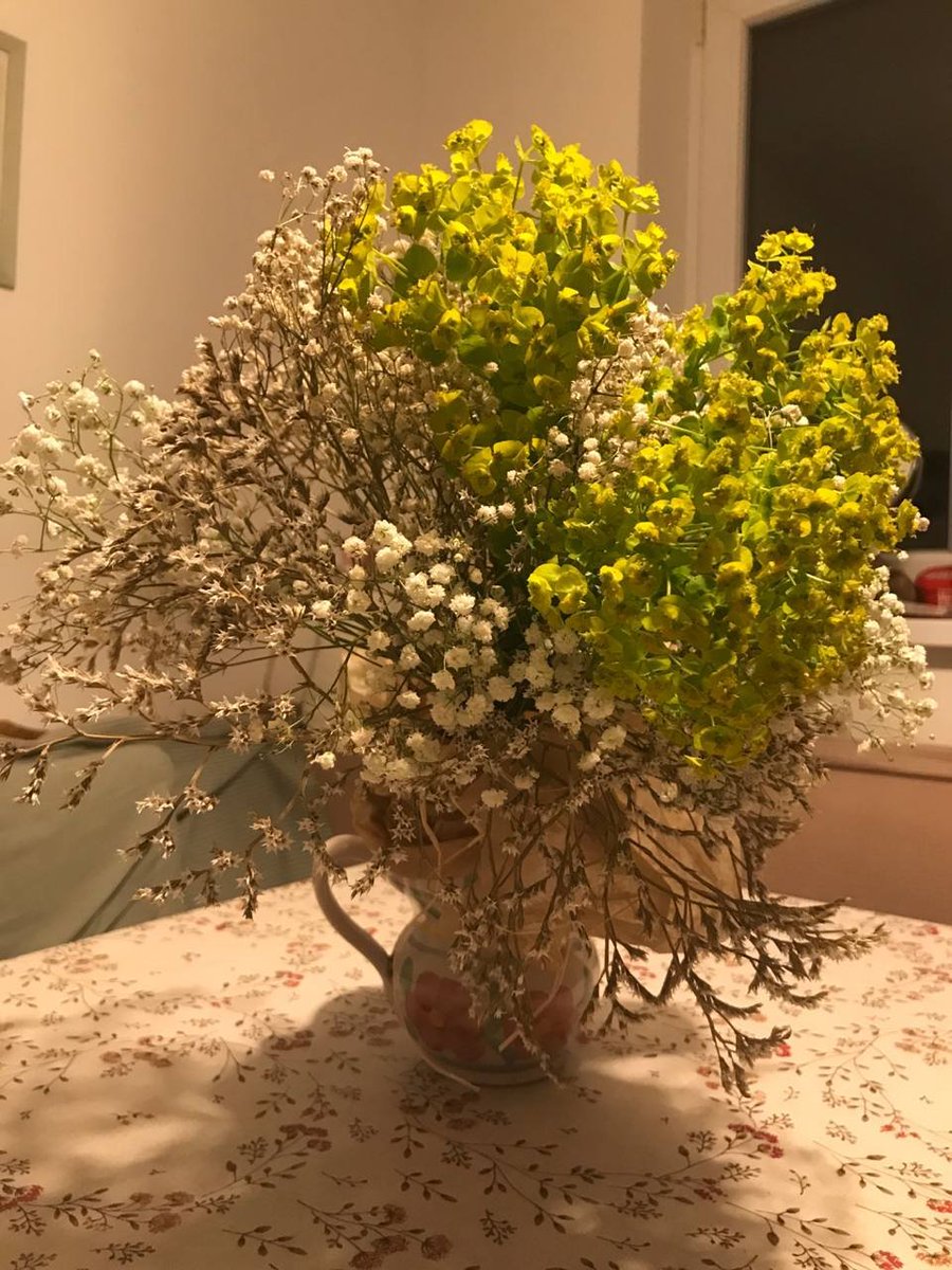 Nevozvrat's tweet photo. @Golubtsova спасибо Человеку за идею! букет помогала собирать пожилая сотрудница в цветочном, которая приговаривала "ne volim simetriju", и в этом его особенная ценность) https://t.co/K8ErM9DnrZ