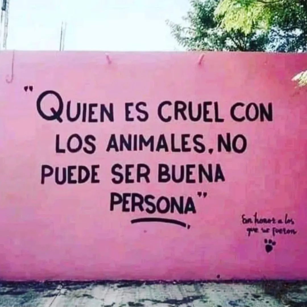 Guadalupe Ramirez tweet media