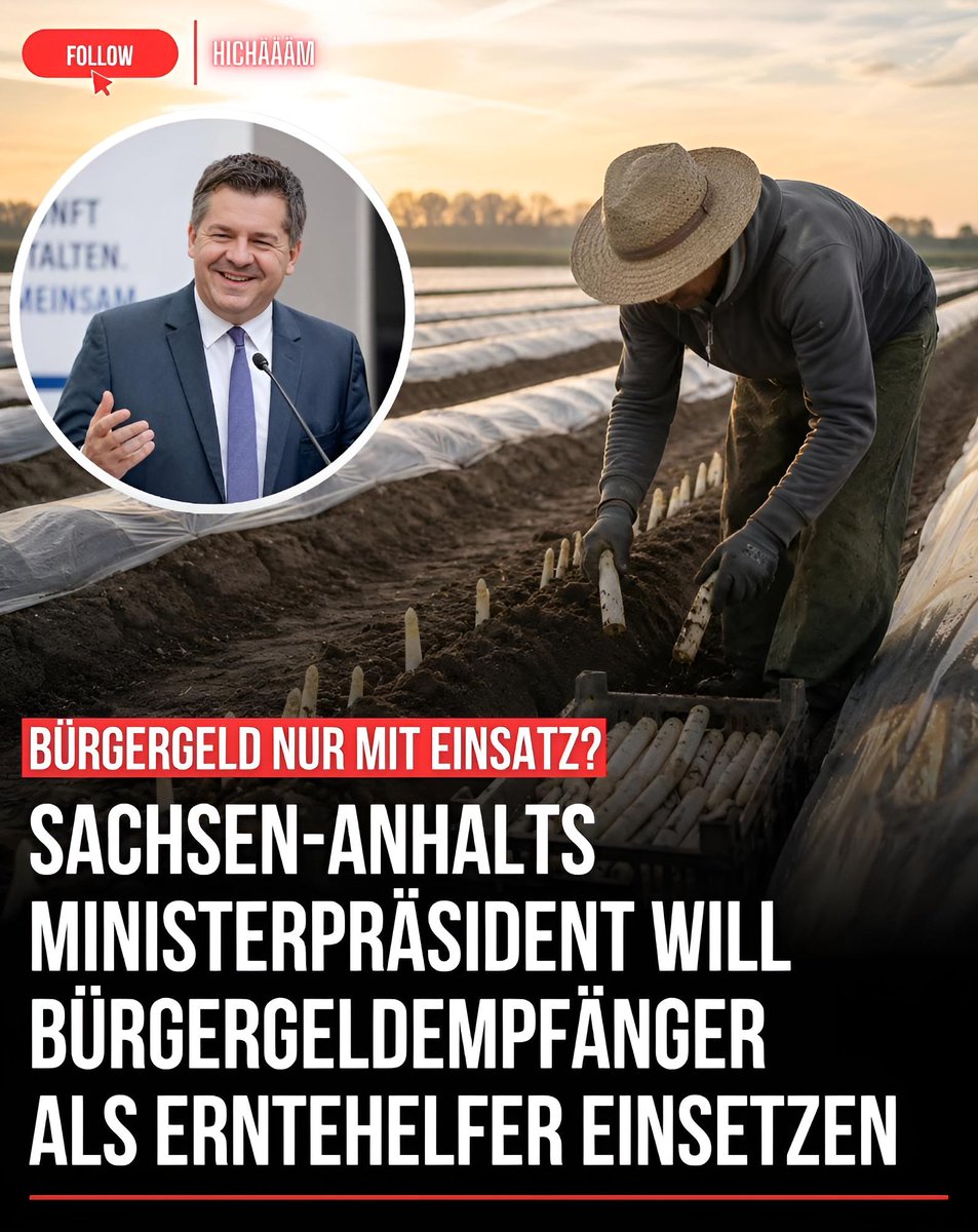 Pik-Ass 🇩🇪 tweet media