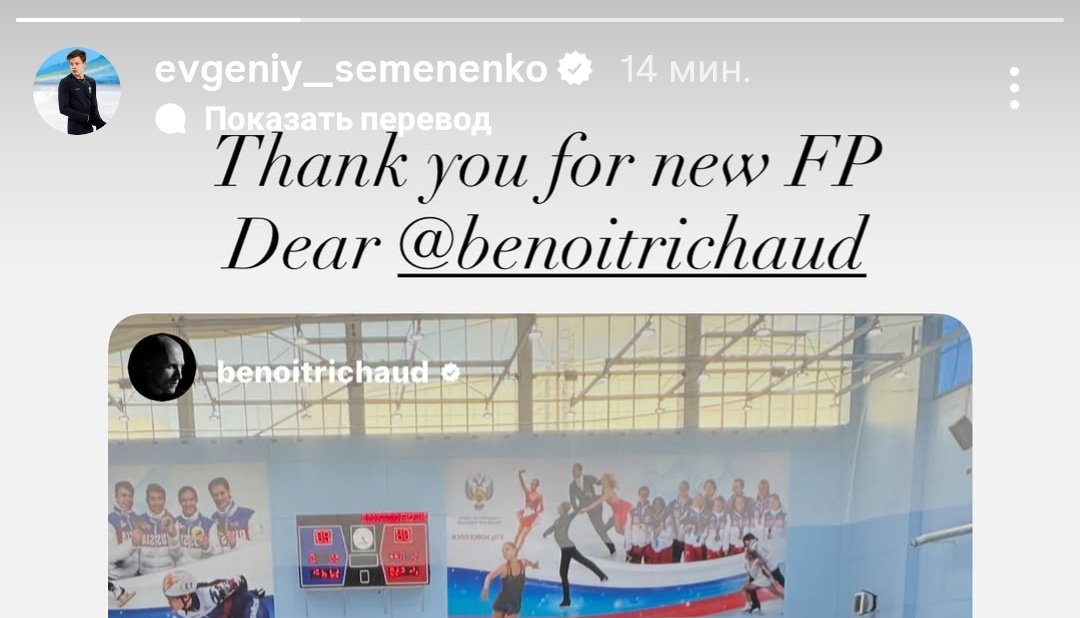 Ворона в фиолетовом свитере tweet media