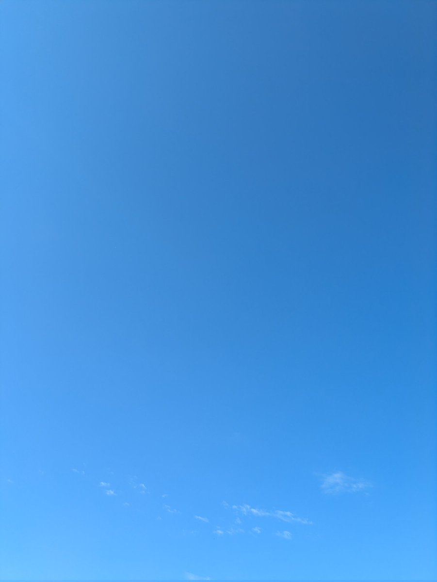 pr_msoft's tweet photo. 昨晩の雨から一転、今日はいいお天気ですね！
日中は暑くなりそうですが、しっかり水分をとってがんばりましょう！

#企業公式つぶやき部 
#企業公式相互フォロー https://t.co/UwBPS6XyxH