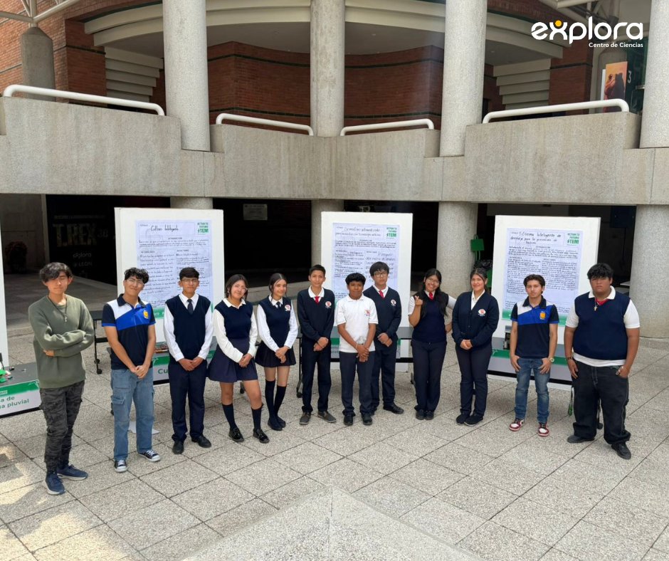 Explora tweet media