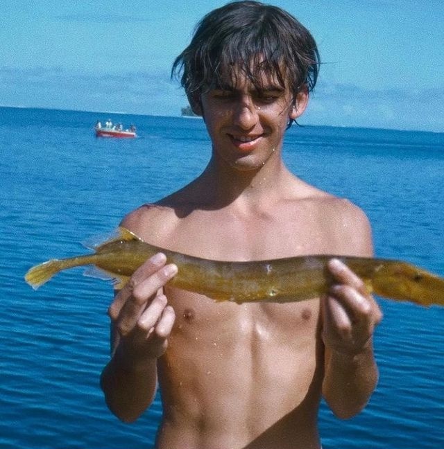 LoserNanda's tweet photo. "pescar um peixe com as próprias mãos ou ser um marido fiel"

George Harrison: https://t.co/kVVSOevAA6