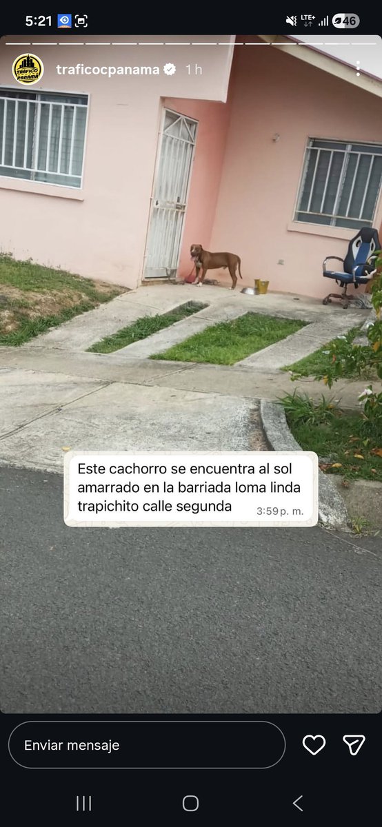 ovega12's tweet photo. @policiadepanama @Panamaalcaldia @MiAmbientePma @TReporta @tvnnoticias https://t.co/1skstv4elf