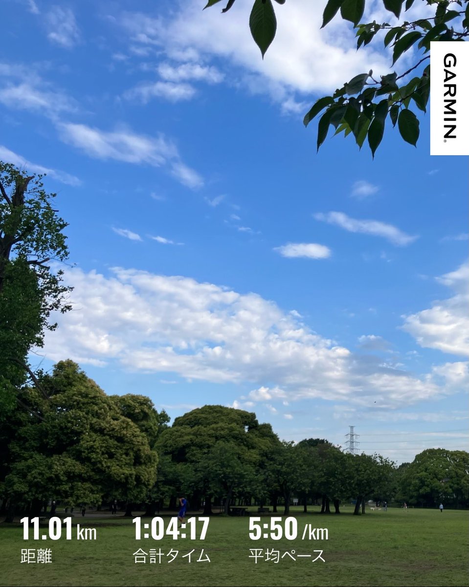 ハマラン tweet media