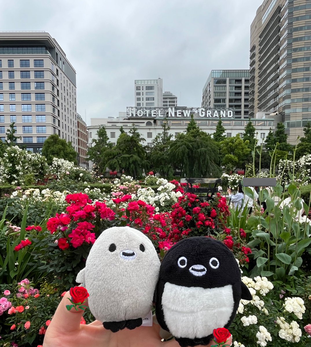 penemihobby's tweet photo. #これを見た人は無言で去年の５月の画像を貼る https://t.co/Ah4YMkEznP