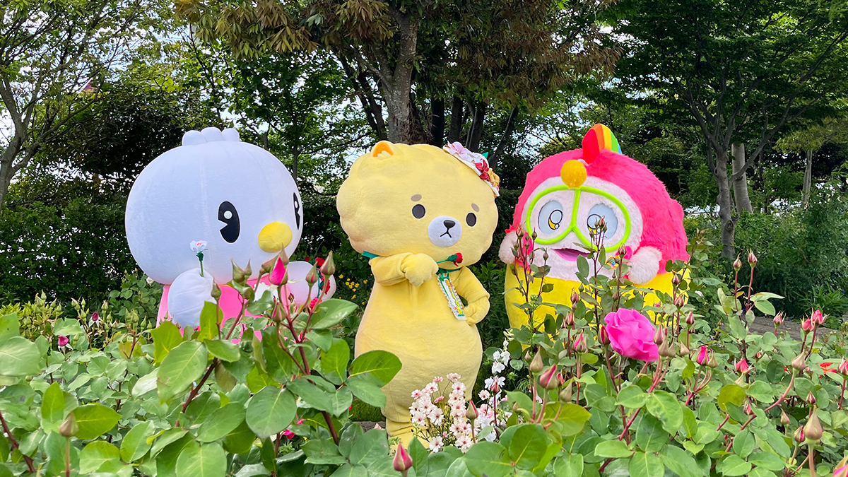 ピヨ丸【東洋羽毛公式キャラクター】 (@TUK_piyomaru) / Posts / X