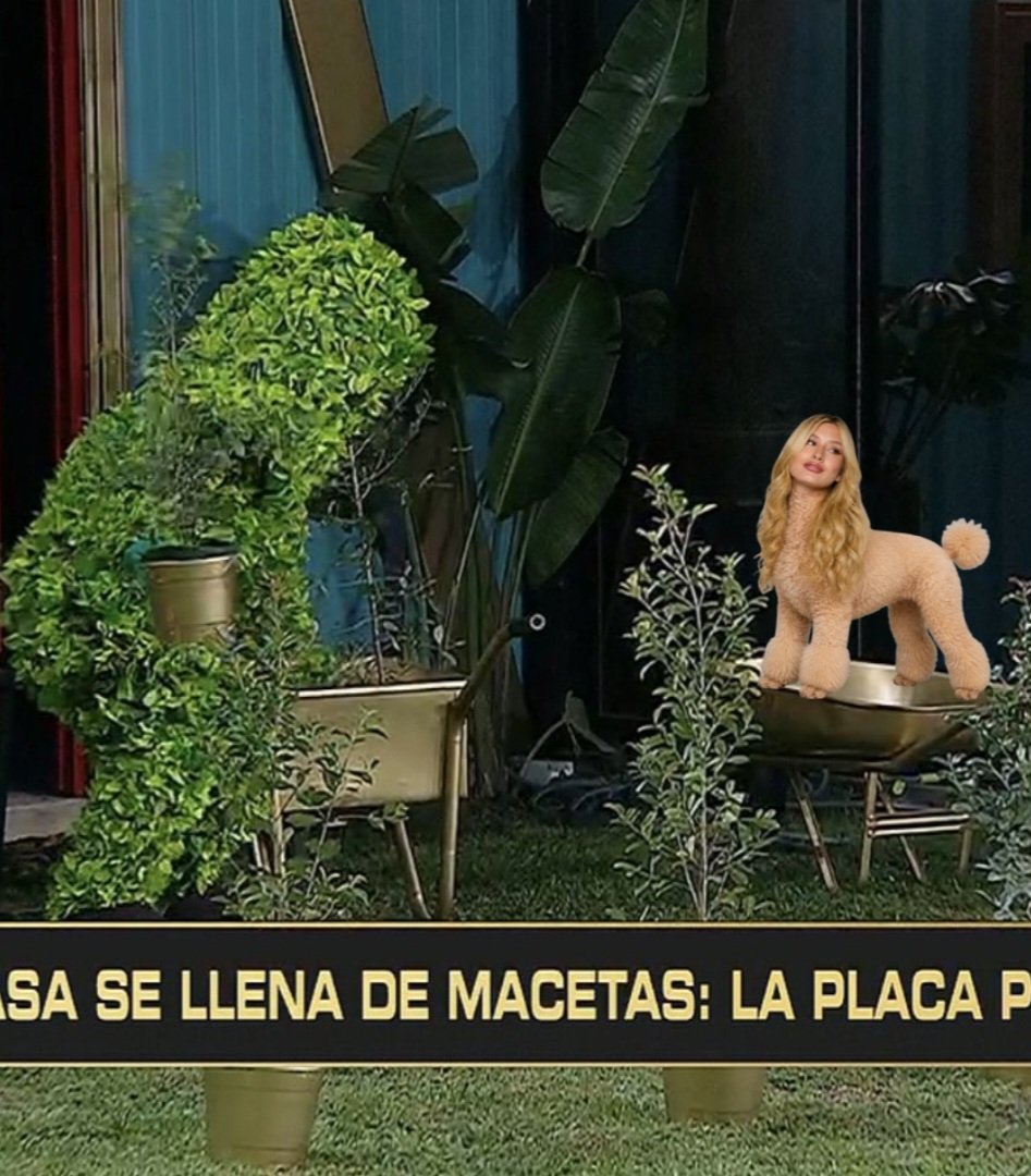 LA JUANINETA tweet media