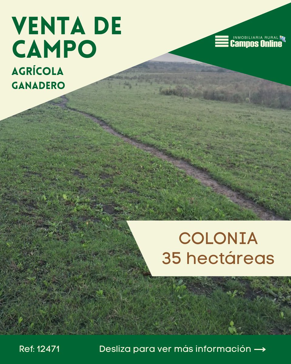 camposonlineuru's tweet photo. Por más información visite: 💻 Referencia 12471 en https://t.co/FSEirOMnAb

O contáctenos: 📩

🌱Inmobiliaria Rural Campos Online Uruguay 🇺🇾   

.    
 
#colonia  #propiedadenventa #campo #inversion #campoenuruguay #campoenventa #camposenuruguay #comprarenuruguay #campoforestal https://t.co/FSqzYROJkU