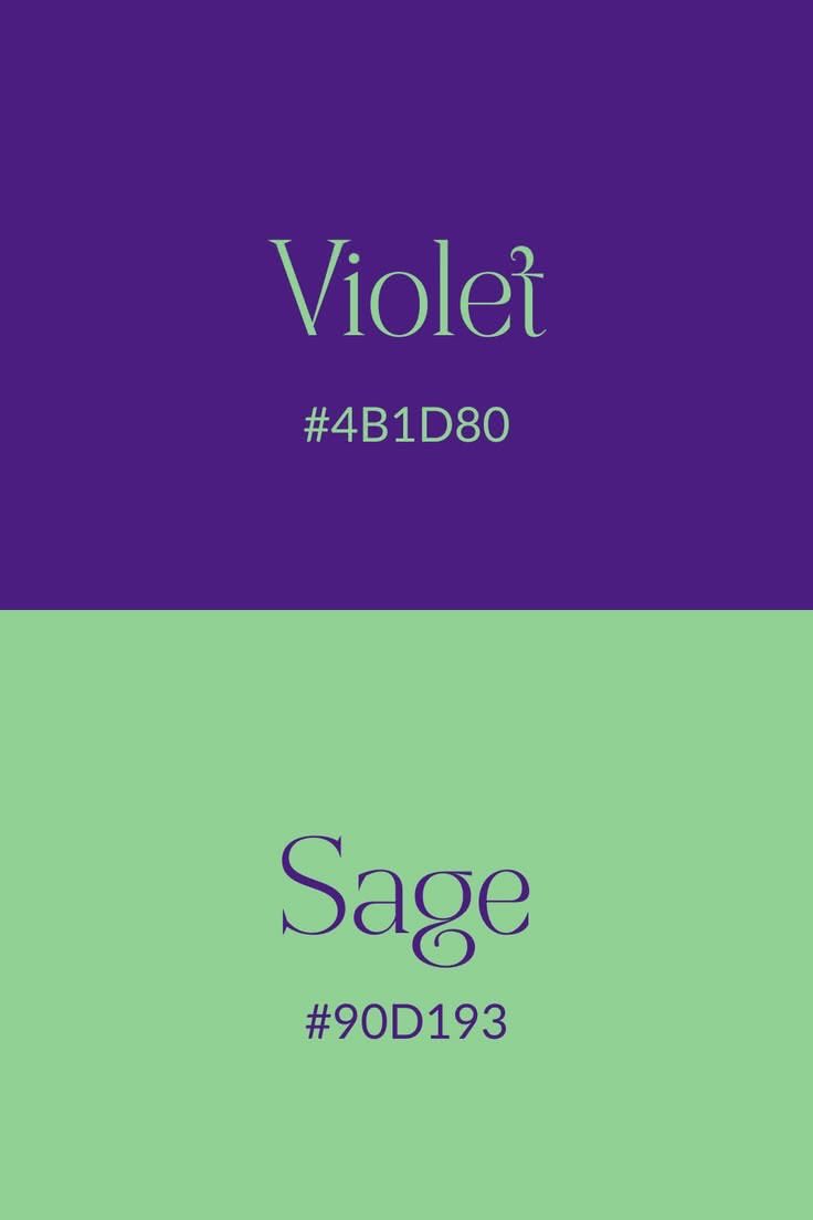 violet✧*｡ tweet media