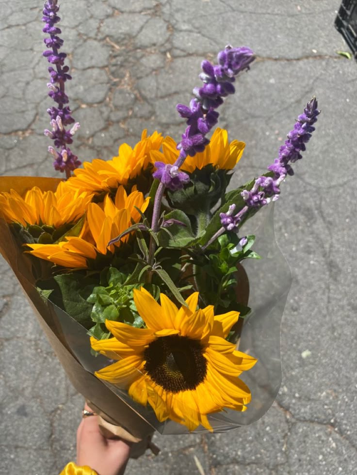C ☆ | 🌻🪻 tweet media