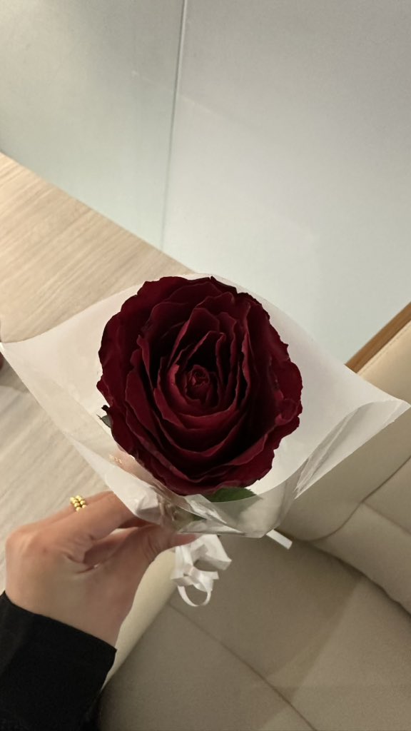 TOTA_l0's tweet photo. مقتطفات من يوم أعظم محاميه ✨⚖️✨ https://t.co/VGqWxg9yab