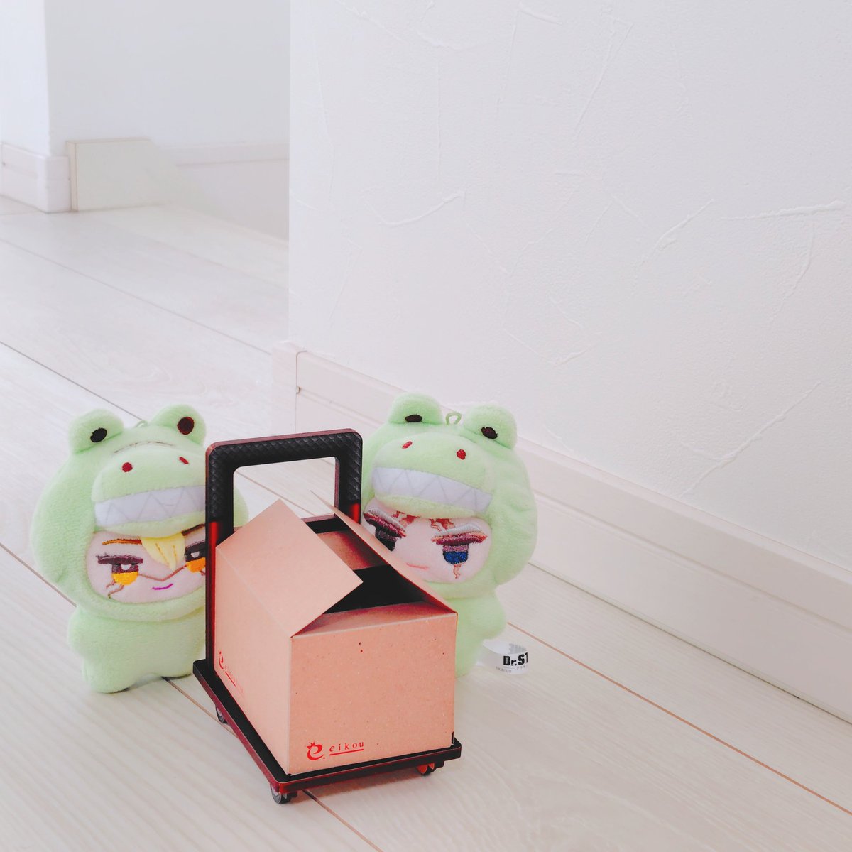 かのか🐊 tweet media