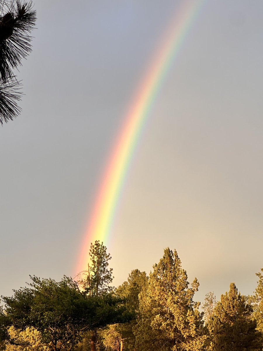 CivilLife18's tweet photo. Beautiful rainbow this morning https://t.co/Jh93cEtNWb