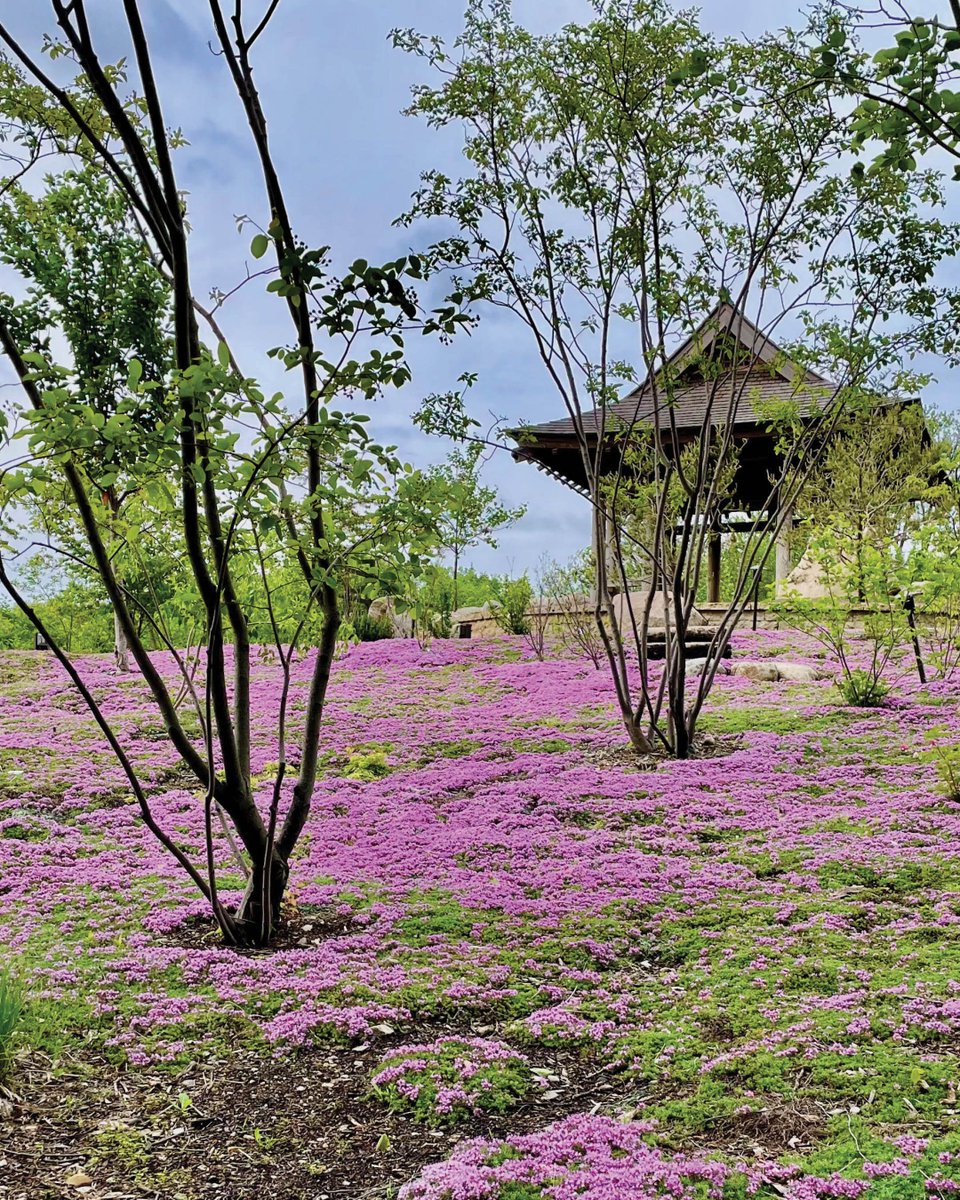 IndConnection's tweet photo. Visitors to Elkhart’s Wellfield Botanic Gardens can enjoy the vibrant springtime blooms in all their glory. Find out more in this issue of Indiana Connection. https://t.co/oodyt8thQ4 https://t.co/yT8fY4bJl5
