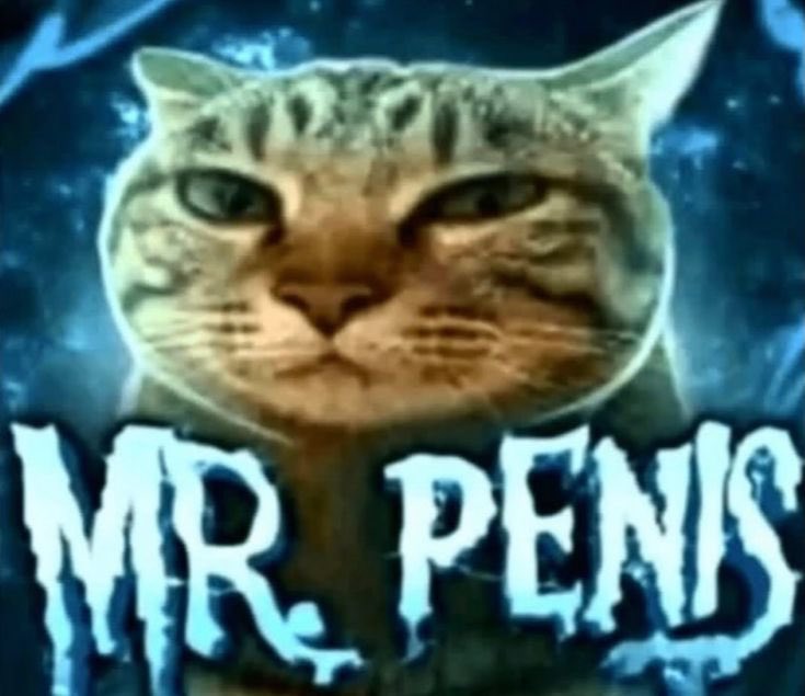 themintymoth's tweet photo. @HexTheCatMeow hai https://t.co/CwyocRMxx5
