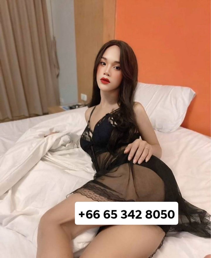 faonty's tweet photo. #ladyboy_jeddah
#jeddah_ladyboy

🧡💛 https://t.co/1fphzVcql6