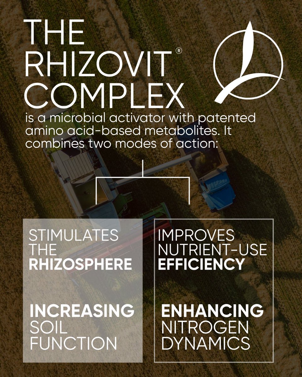 TimacAgroCanada's tweet photo. Duo Maxx &amp; Excelis Maxx: powered by The Rhizovit® Complex

Work with biology, win on yield➡️ with the Rhizovit® Complex

#cropinnovation #timacagro #plantnutrition #agriculture https://t.co/285EuoEFlg