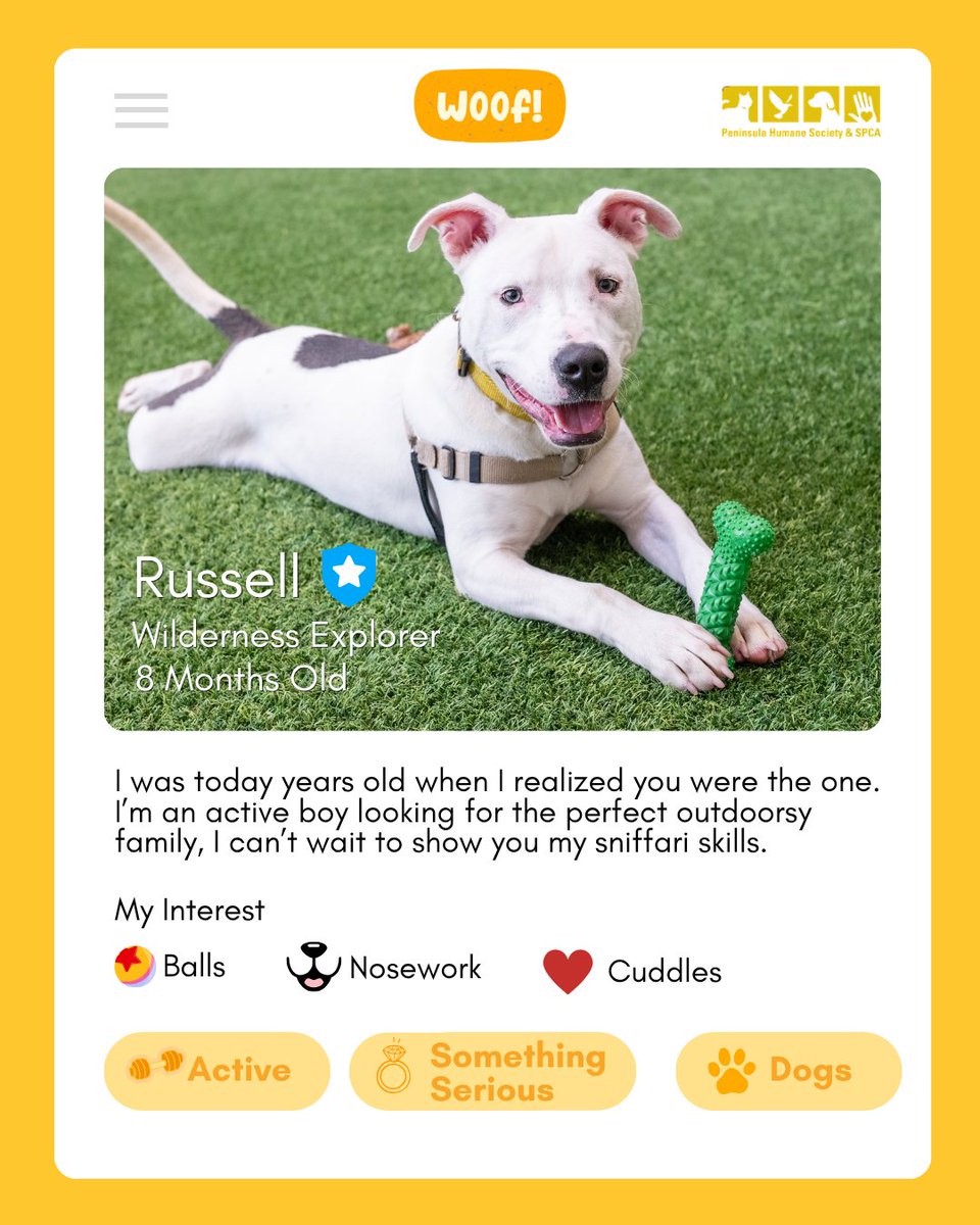 PeninsulaHumane's tweet photo. It's hard to find your soulmate nowadays.🫶 Let us set you up! PHS/SPCA is actually code for matchmaker, what a crazy coincidence huh? 😜 💗 

Stop by PHS/SPCA open from 11am-6pm. Visit https://t.co/14hq1sJ3ND to learn more!
#phsspca #adoptdontshop #cleartheshetlers https://t.co/TTcJbxQeYA