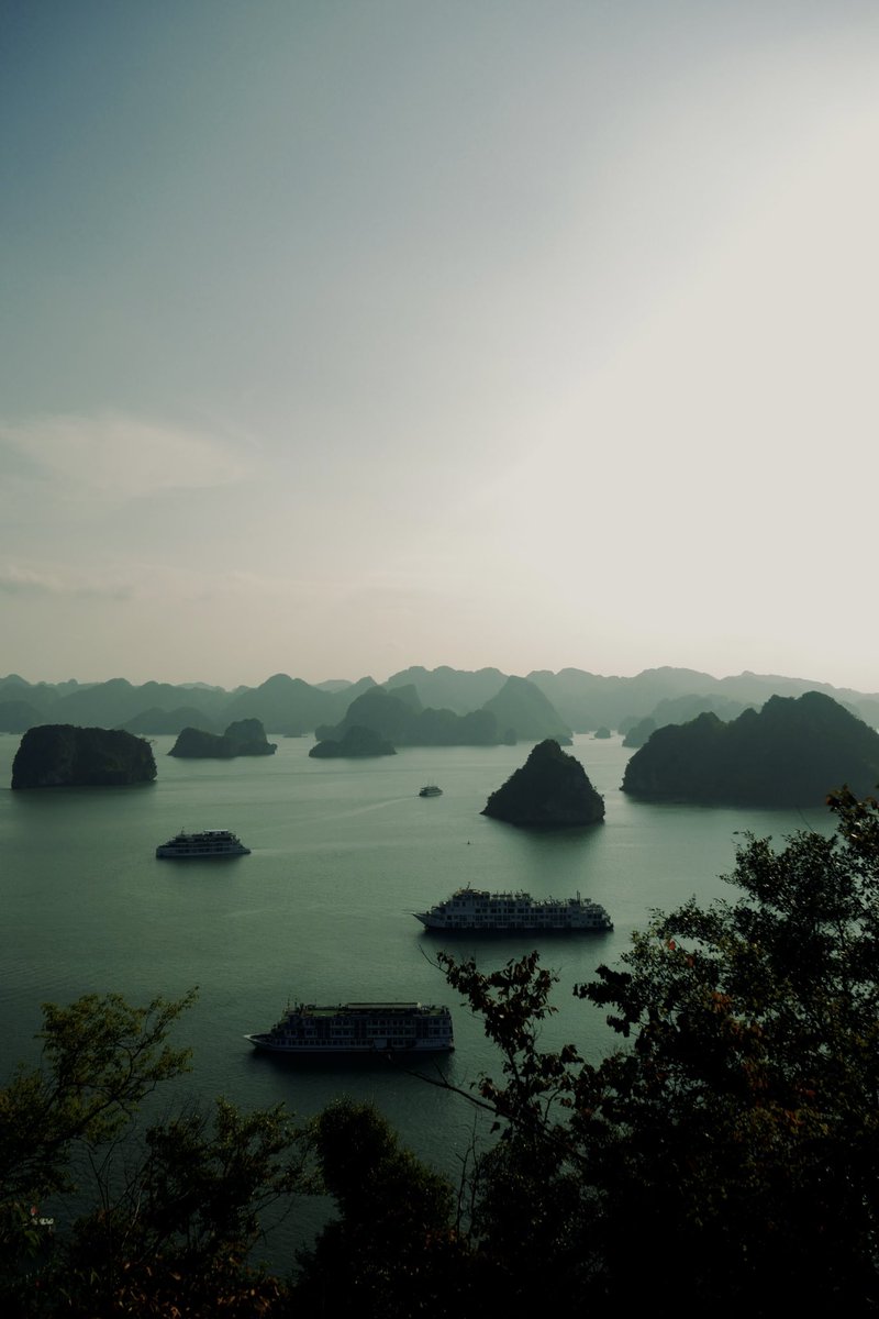 OctanePSD's tweet photo. Vietnam is insanely beautiful

All photos by me https://t.co/VNZTBUENeX