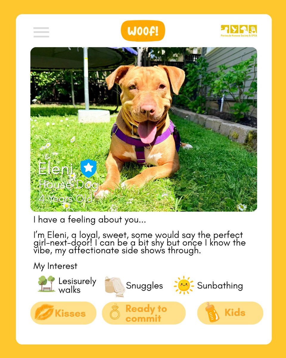 PeninsulaHumane's tweet photo. It's hard to find your soulmate nowadays.🫶 Let us set you up! PHS/SPCA is actually code for matchmaker, what a crazy coincidence huh? 😜 💗 

Stop by PHS/SPCA open from 11am-6pm. Visit https://t.co/14hq1sJ3ND to learn more!
#phsspca #adoptdontshop #cleartheshetlers https://t.co/TTcJbxQeYA