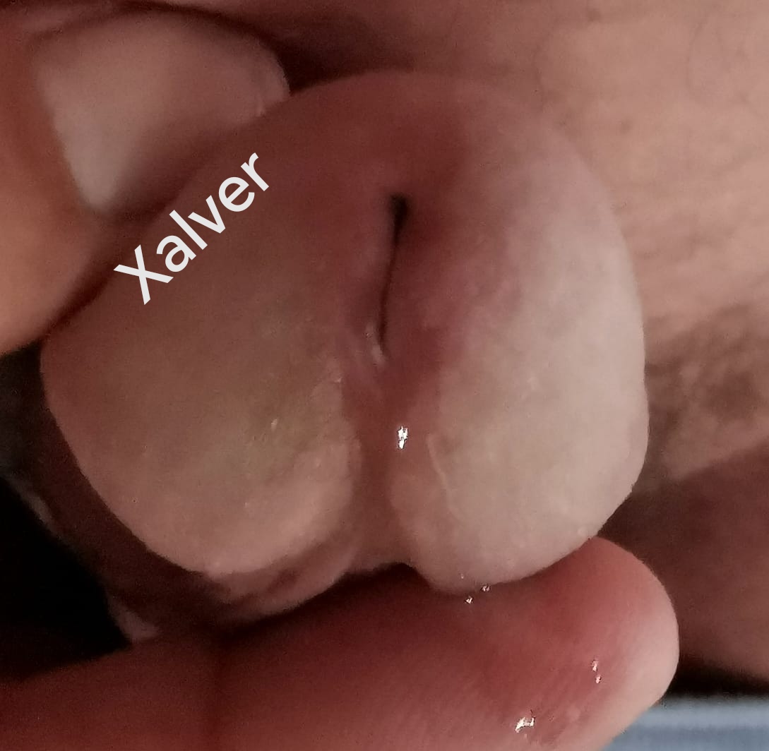 Xalaver tweet media