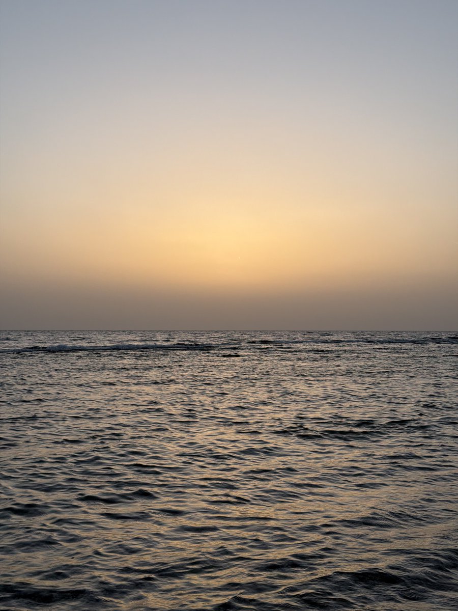 ِ tweet media