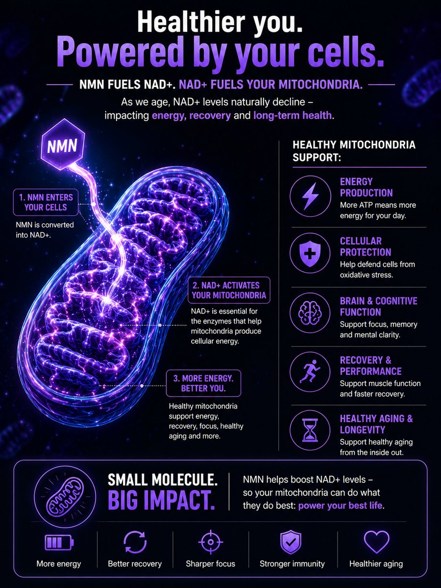 mydailyshealth's tweet photo. Your mitochondria are the tiny powerhouses inside your cells that create the energy your body runs on ⚡

But as mitochondrial function declines with age, research has linked it to things like Alzheimer’s, Parkinson’s, fatigue, inflammation, metabolic issues and accelerated aging 👀

That’s why supporting your cells matters.

NMN helps support NAD+ levels, which your mitochondria rely on to produce cellular energy.

Our Beta NMN is:
✅ Third-party tested
✅ 100% purity tested
✅ Vegan & GMO-free
✅ Up to 50% OFF right now

Your future health starts at the cellular level 🧬

#NMN #Mitochondria #NAD #Longevity #HealthyAgeing #Alzheimers #Parkinsons #CellularHealth #Biohacking #AntiAging #mydailys