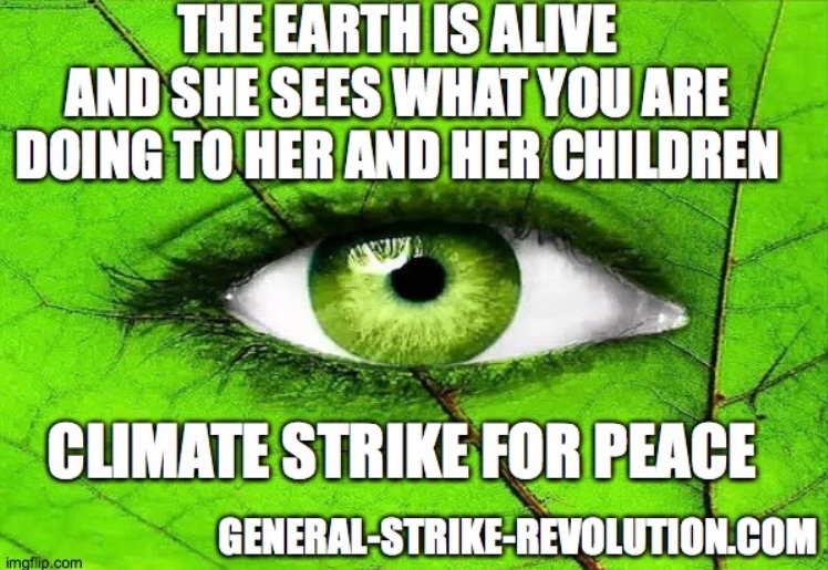 RPM4GeneralStrikeRevolution tweet media