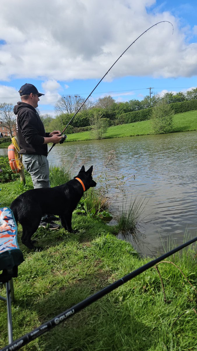 TOTALK9KENNELS's tweet photo. Photos sent in of Brooklyn enjoying family life.

A well balanced protection dog should not only provide security and deterrence, but also fit naturally into everyday family life.

#GermanShepherd #ProtectionDog #FamilyDog #TotalK9 #WorkingLineGermanShepherd https://t.co/5MrH9FMBVu