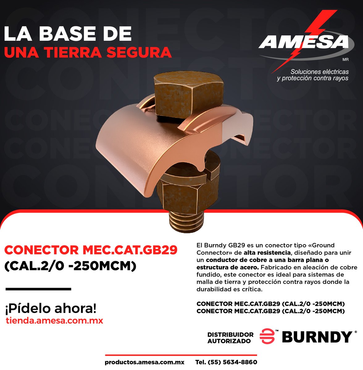 AMESA tweet media
