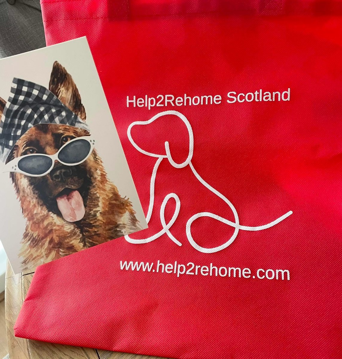Help2Rehome Scotland tweet media