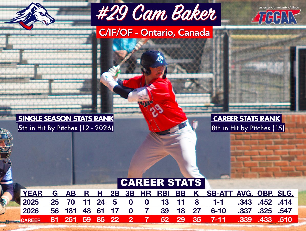 Southwest Tennessee Baseball tweet media