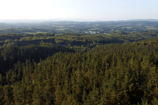 coetfg's tweet photo. Esta semana pechamos a acción formativa “CURSO DE PEGADA E MERCADOS DE CARBONO: REGULACIÓN, PROXECTOS E OPORTUNIDADES”, que se impartiu coa cofinanciación da Axencia Galega da Industria Forestal (#XERA)
Compartímosvos nota de prensa:
https://t.co/QNvSlLPu3A https://t.co/0zCdB6ZoYW