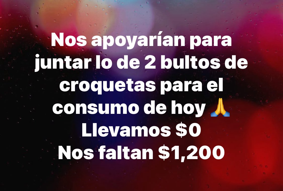 Peludos Desamparados tweet media